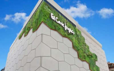 El proyecto URBAN GREENUP, liderado por CARTIF, instalará la primera fachada vegetal de Valladolid