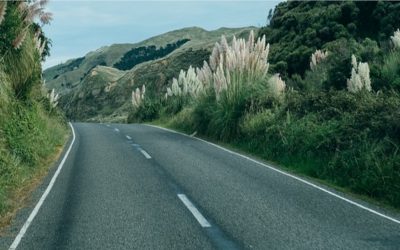 El proyecto LIFE BATTLE CO2, liderado por CARTIF, finalista al premio Mejores Prácticas Ambientales 2019