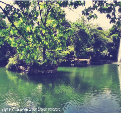 Lago interior campo grande valladolid