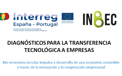 CARTIF oferta diagnósticos para la transferencia tecnológica de las empresas