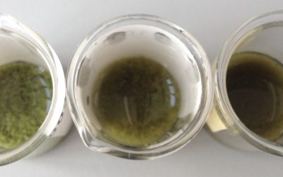 El proyecto PROGRESO acaba con exitosos resultados tras 5 años de investigación avanzada en ingredientes y productos proteicos