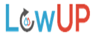 logo lowup logo ejemplo