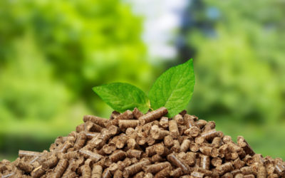 CARTIF, acreditado por ENAC para los ensayos de biomasa, principal fuente de energía renovable para calefacción en Europa