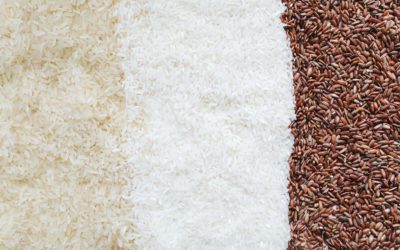 Quinto taller INBEC sobre soluciones innovadoras en bioeconomía el próximo 20 de mayo