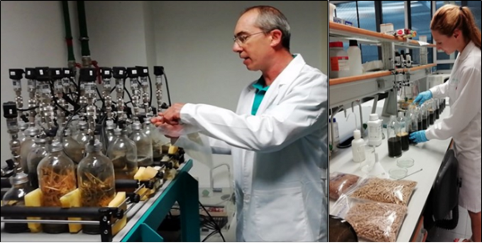 test biodegradabilidad