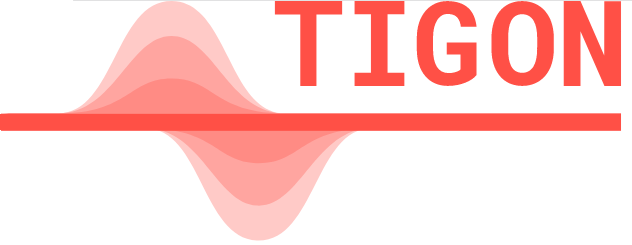 logo tigon logo ejemplo
