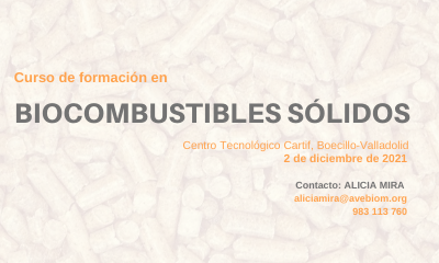 AVEBIOM celebra en CARTIF su 8º curso sobre Calidad de Biocombustibles Sólidos