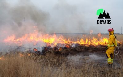 Proyecto DRYADS: un ecosistema tecnológico integrado para la gestión de incendios y la restauración forestal adaptativa en contextos socioecológicos cambiantes