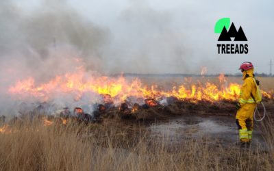 TREEADS Project – A Unifying Technological Ecosystem for Integrated Fire Management and Adaptive Forest Restoration in Changing Socio-Ecological Contexts
