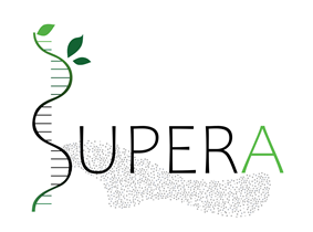 supera logo ejemplo