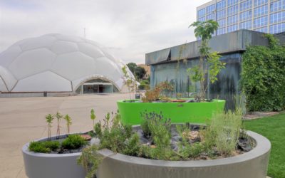 URBAN GreenUP instala varios módulos de polinizadores a lo largo de todo Valladolid