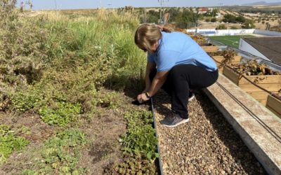 El proyecto LIFE myBUILDINGisGREEN obtiene los primeros resultados de biodiversidad en sus edificios piloto