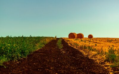 El proyecto ELLIPSE celebra su reunión de lanzamiento para presentar su objetivo de valorizar residuos de mataderos y lodos para su aplicación en la agricultura y cuidado personal