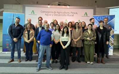 El proyecto NATMed celebra su tercera sesión de co-diseño en Sevilla para analizar el estado del caso de estudio español