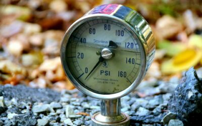 High-pressure processes for the generation of high value-added products